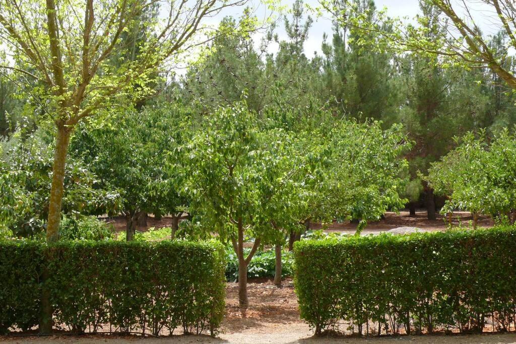 Casa En El Campo Con Encanto * Almansa